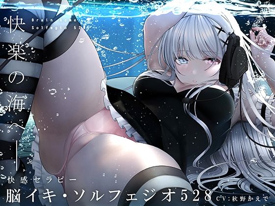 【ドラッグ】脳イキ・ソルフェジオ528〜奇跡のエンドルフィン分泌と脳イキ体験！〜｜-シロイルカ