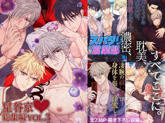 【拘束】星谷京総集編 VOL.3｜-星谷京