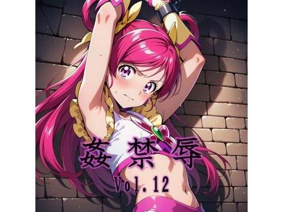 【拘束】姦禁辱 vol.12｜-マッチョメソ